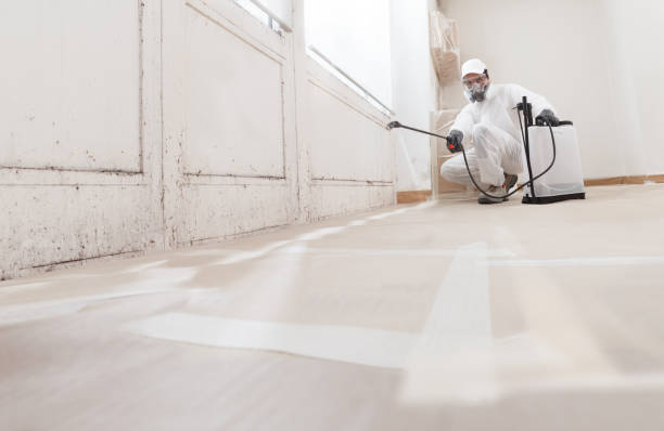 24/7 Emergency Black Mold Remediation experts in Green Cove Springs, FL