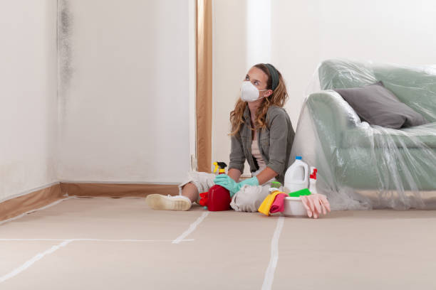 Reliable Black Mold Remediation contractor in Green Cove Springs, FL by Car Mold Remediation